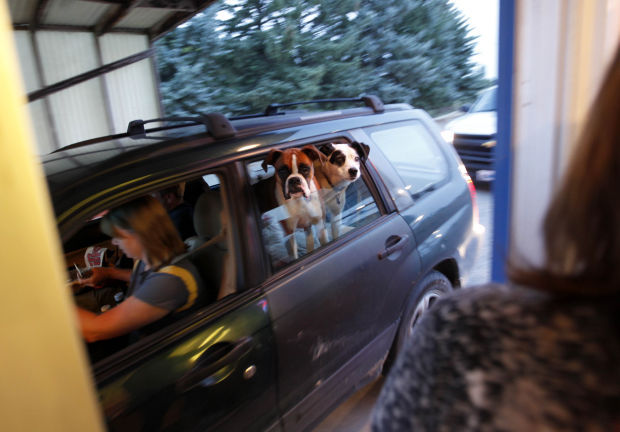 Drive-In